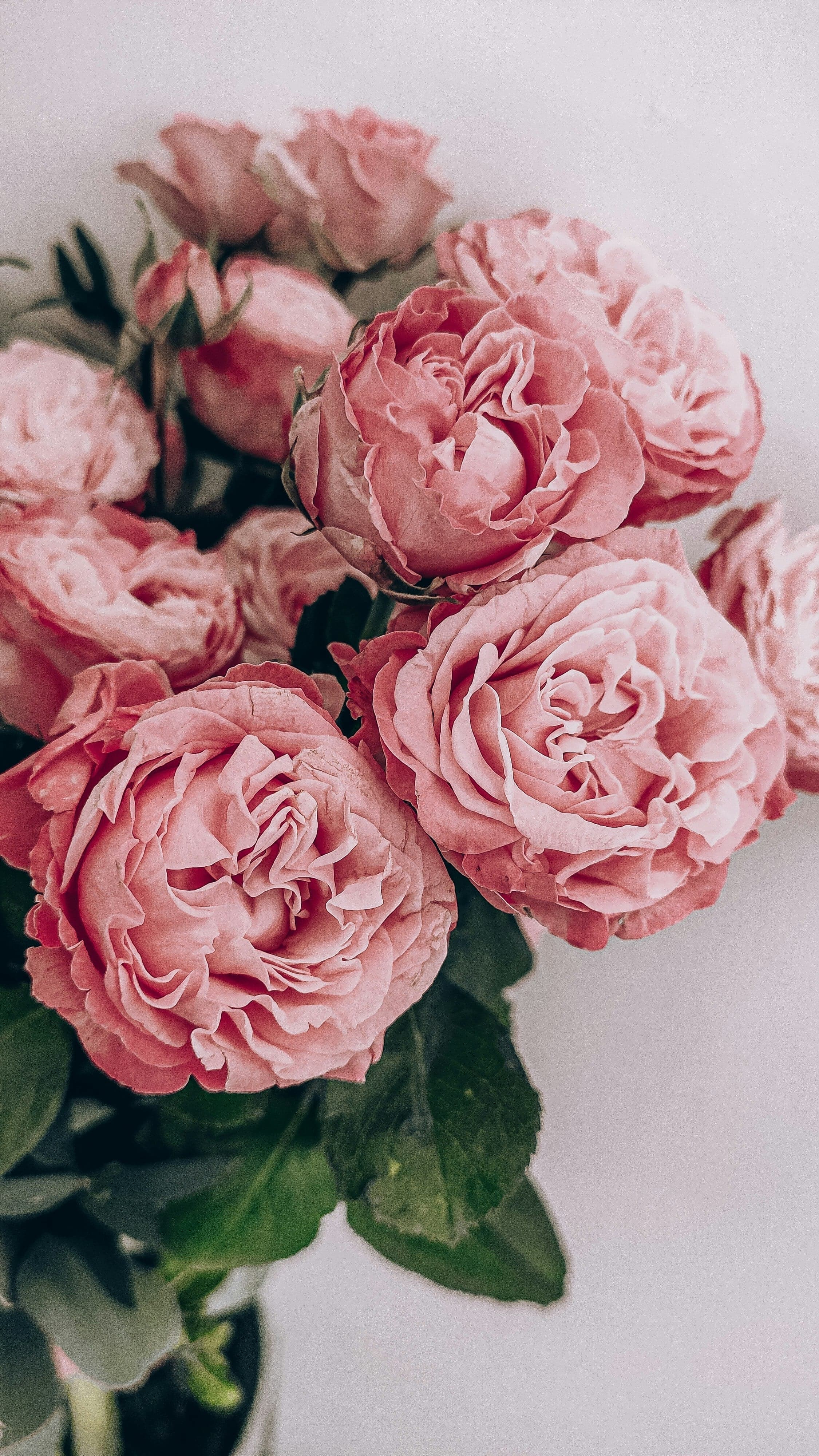 Floral arrangement