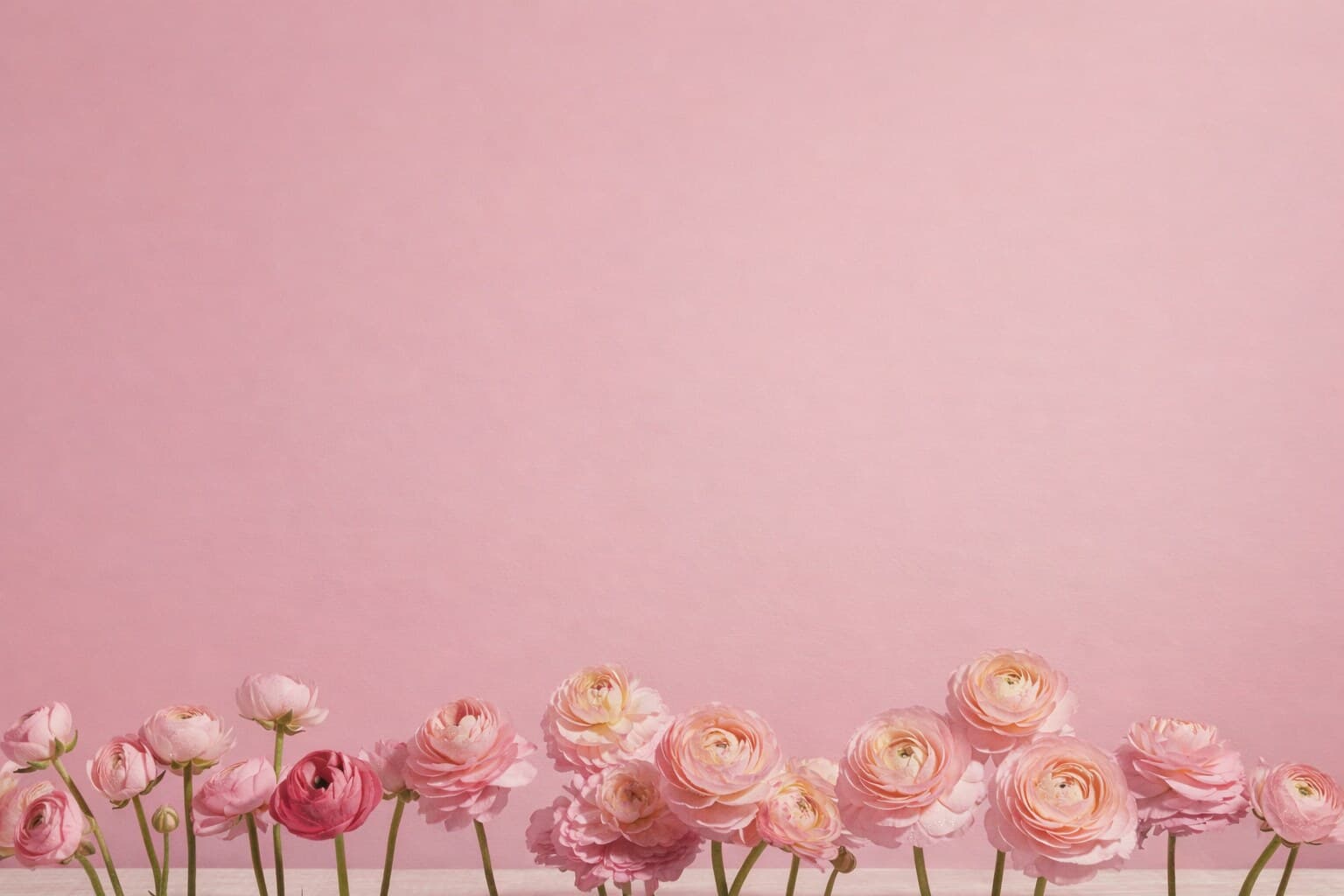 IN BLOOM event